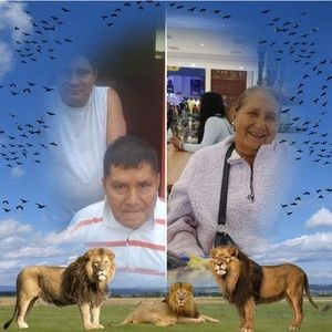 Meet your Posher, Jessenia